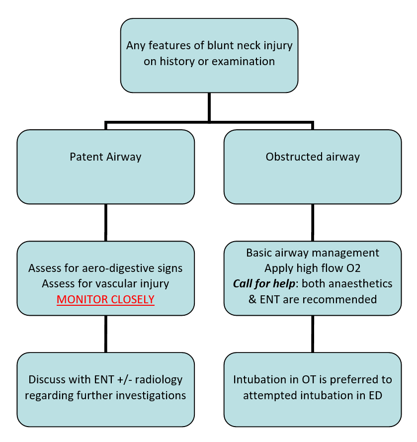 Flowchart outlining treatment of blunt neck injury